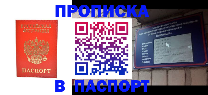 прописка в квартире в Лосино-Петровском